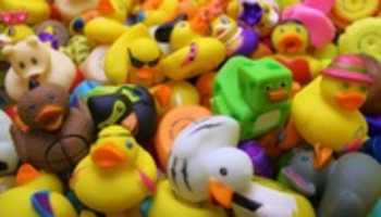 ດາວໂຫລດ Rubber Ducks ຟຣີຮູບພາບຫຼືຮູບພາບທີ່ຈະແກ້ໄຂດ້ວຍບັນນາທິການຮູບພາບອອນໄລນ໌ GIMP