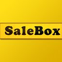 SaleBox WebSocket server  screen for extension Chrome web store in OffiDocs Chromium