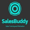 SalesBuddy  screen for extension Chrome web store in OffiDocs Chromium