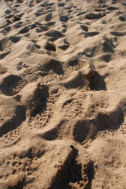 Free download sand footprints beach shore summer free picture to be edited with GIMP free online image editor