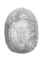 Free download Scarab, uninscribed free photo or picture to be edited with GIMP online image editor