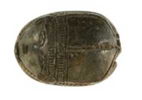 Free download Scarab with a Lion Hunting Horned Animals free photo or picture to be edited with GIMP online image editor