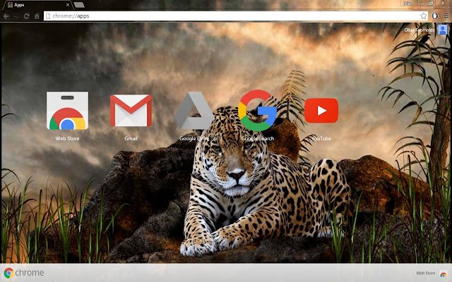 1080p HD Leopard aus dem Chrome-Webshop zur Ausführung mit OffiDocs Chromium online