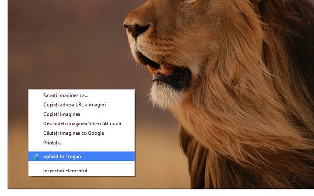 1mg.ro image uploader extension  from Chrome web store to be run with OffiDocs Chromium online