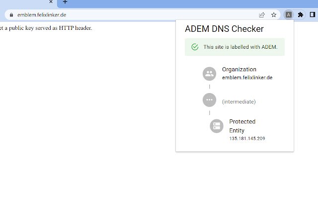 ADEM DNS Checker  from Chrome web store to be run with OffiDocs Chromium online