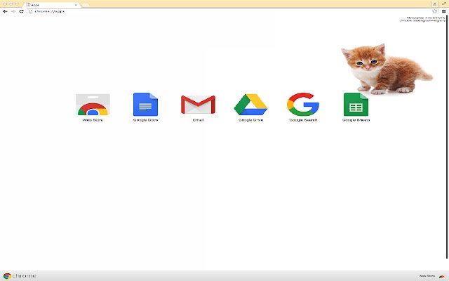 Adorable Kitten Theme  from Chrome web store to be run with OffiDocs Chromium online