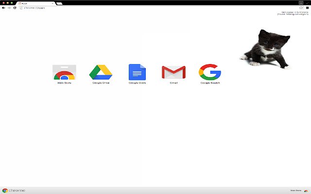 Adorable Kitten Theme 3  from Chrome web store to be run with OffiDocs Chromium online