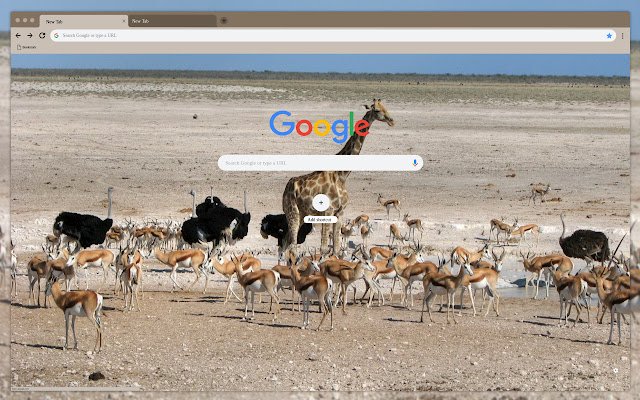 African animals  from Chrome web store to be run with OffiDocs Chromium online