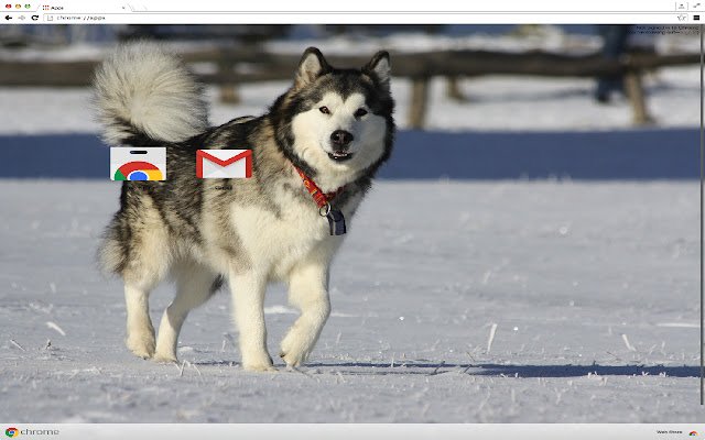 Le thème Alaskan Malamute de la boutique en ligne Chrome sera exécuté avec OffiDocs Chromium en ligne