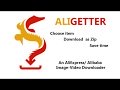 AliGetter  from Chrome web store to be run with OffiDocs Chromium online