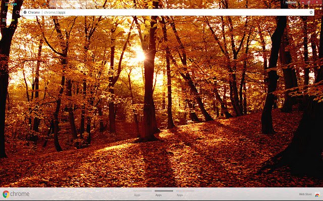 Alluring Fall spring  from Chrome web store to be run with OffiDocs Chromium online