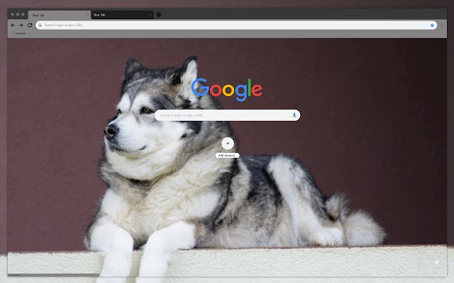 Alpine Malamute  from Chrome web store to be run with OffiDocs Chromium online