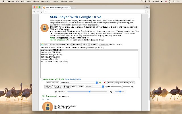 AMR Player With Google Drive  from Chrome web store to be run with OffiDocs Chromium online