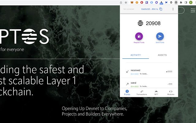 Aptos Wallet Unofficial Demo  from Chrome web store to be run with OffiDocs Chromium online