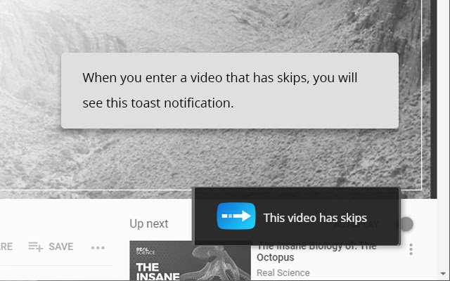 AutoSkipper  from Chrome web store to be run with OffiDocs Chromium online