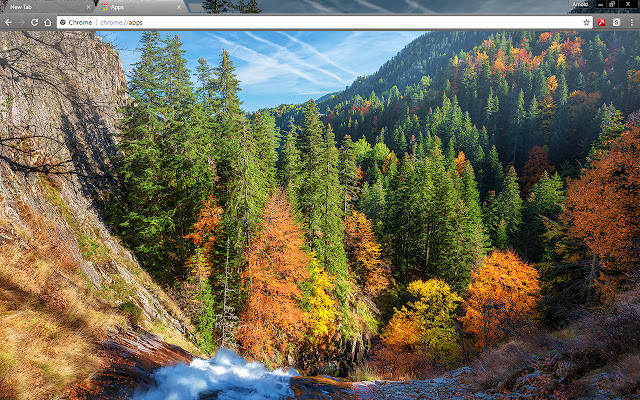 Autumn Forest de la tienda web de Chrome se ejecutará con OffiDocs Chromium en línea