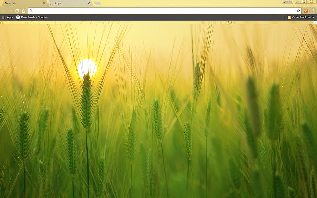 Barley Field מחנות האינטרנט של Chrome יופעל עם OffiDocs Chromium באינטרנט