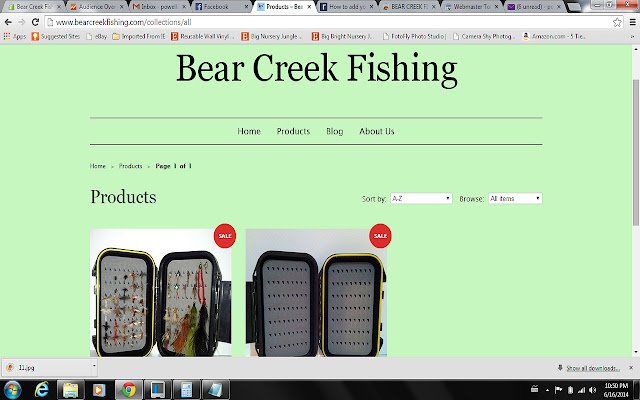 BEAR CREEK FISHING  from Chrome web store to be run with OffiDocs Chromium online