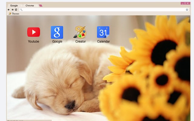 Magagandang Cute A Puppy Theme mula sa Chrome web store na tatakbo sa OffiDocs Chromium online