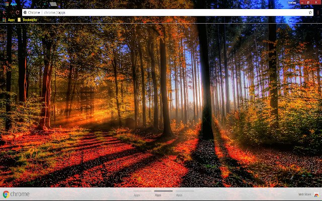 Beautiful Fall Forest Leaf із веб-магазину Chrome, який можна запускати за допомогою OffiDocs Chromium онлайн