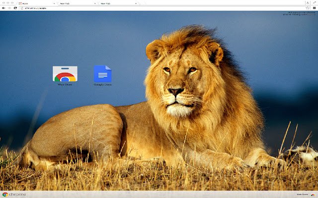 Beautiful Lion Theme  from Chrome web store to be run with OffiDocs Chromium online