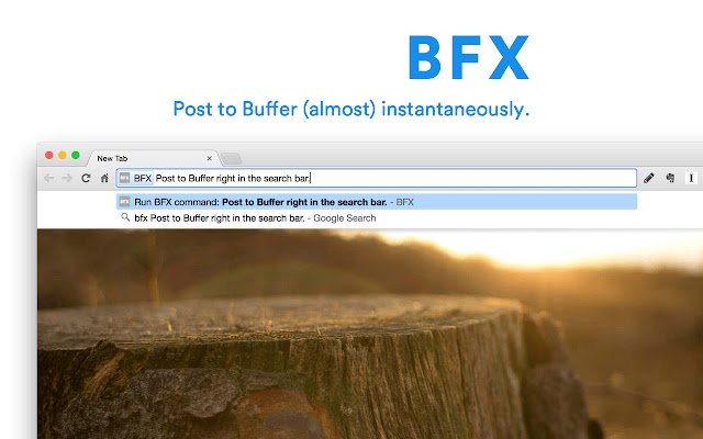 BFX  from Chrome web store to be run with OffiDocs Chromium online