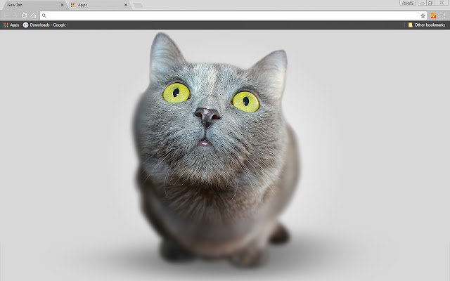 Chrome 网上商店的 Big Head Kitten 将与 OffiDocs Chromium 在线运行