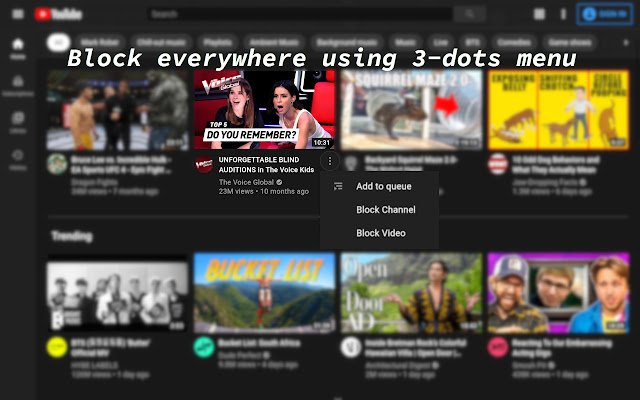 BlockTube  from Chrome web store to be run with OffiDocs Chromium online