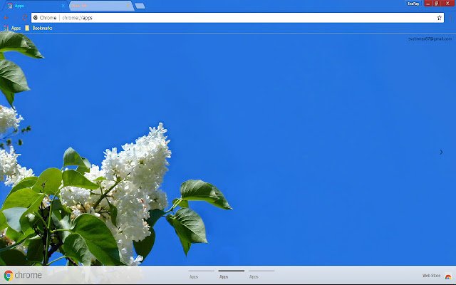 Blossom Blue Flower Green Leaf  from Chrome web store to be run with OffiDocs Chromium online