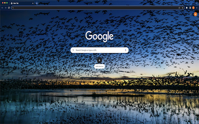 Blue Bird Skies Theme  from Chrome web store to be run with OffiDocs Chromium online