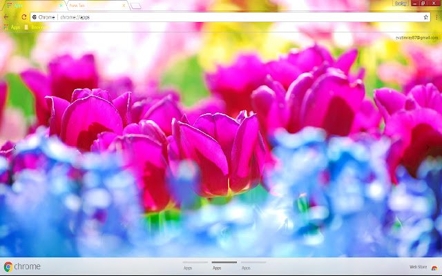 Blue Flower Bokeh Colorful Flower  from Chrome web store to be run with OffiDocs Chromium online