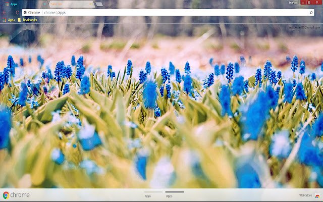 Blue Flower Colourful Spring dal negozio web di Chrome da eseguire con OffiDocs Chromium online