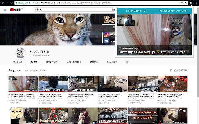 BobCat TB уведомления о стримах  from Chrome web store to be run with OffiDocs Chromium online