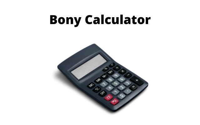 Bony Calculator  from Chrome web store to be run with OffiDocs Chromium online