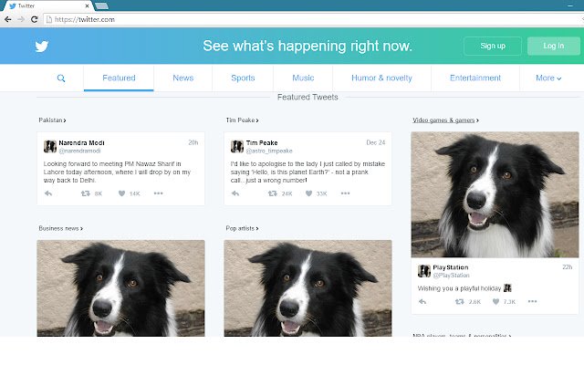 Border Collies!  from Chrome web store to be run with OffiDocs Chromium online