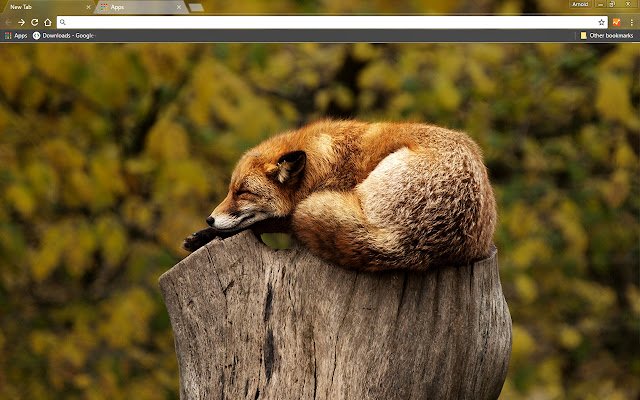 Brown Fox  from Chrome web store to be run with OffiDocs Chromium online