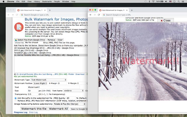 Bulk Watermark for Images, Photos  from Chrome web store to be run with OffiDocs Chromium online