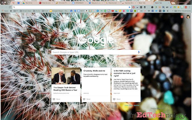 Cactus Dream  from Chrome web store to be run with OffiDocs Chromium online