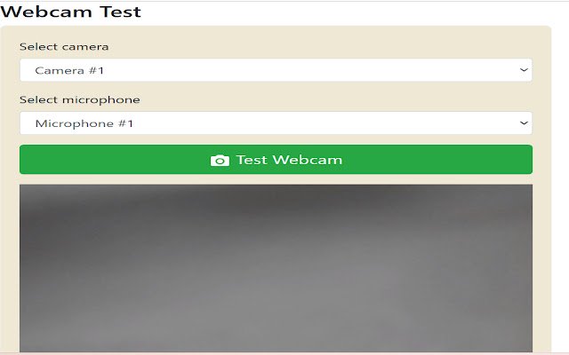 Camera Test  from Chrome web store to be run with OffiDocs Chromium online