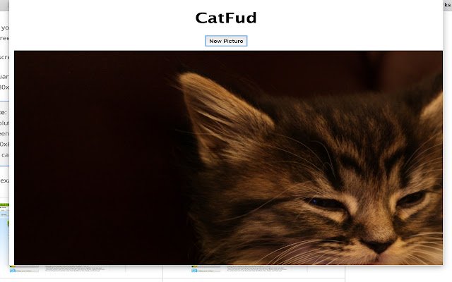 CatFud  from Chrome web store to be run with OffiDocs Chromium online