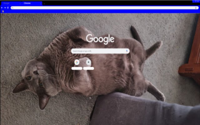 Cat Manspreading  from Chrome web store to be run with OffiDocs Chromium online