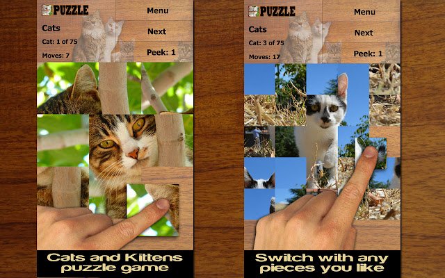 Cats Puzzle  from Chrome web store to be run with OffiDocs Chromium online