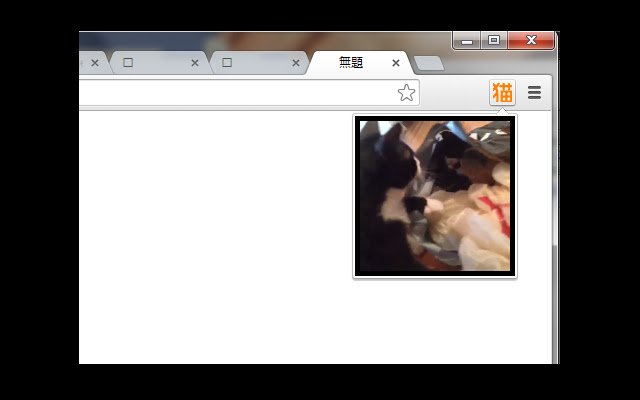 Cat Vine Lite |ショート猫動画 จาก Chrome เว็บสโตร์ที่จะรันด้วย OffiDocs Chromium ออนไลน์