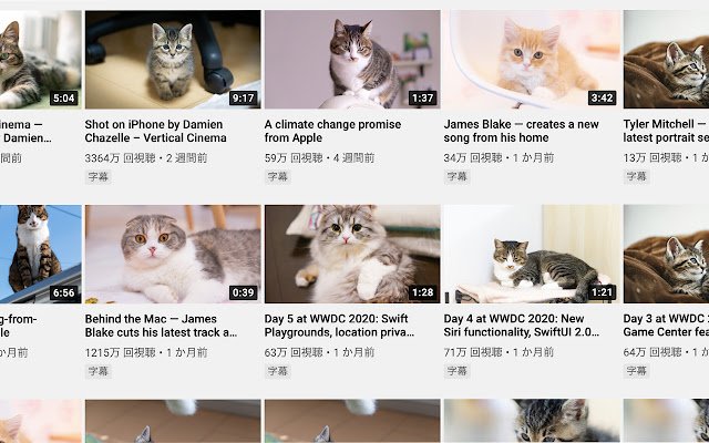 Change Images to Cats  from Chrome web store to be run with OffiDocs Chromium online