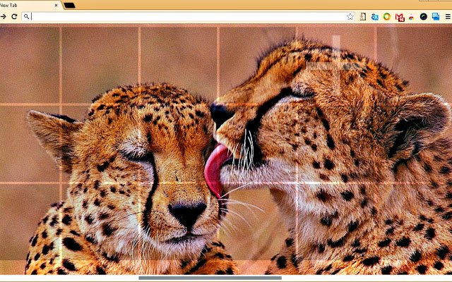 Cheetah Print  from Chrome web store to be run with OffiDocs Chromium online