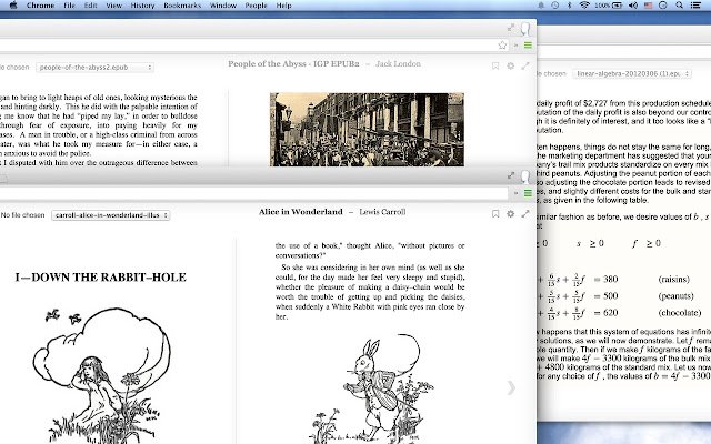 Cloud ePub Reader with Drive  from Chrome web store to be run with OffiDocs Chromium online