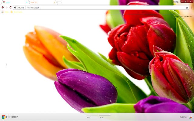 Colorful Flower Green Orange  from Chrome web store to be run with OffiDocs Chromium online