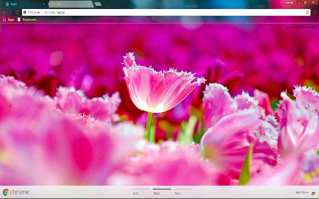 Colorful Flower Nature  from Chrome web store to be run with OffiDocs Chromium online