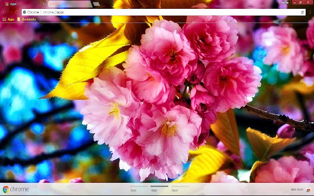 Colorful Flower Sakura Spring из интернет-магазина Chrome будет работать с OffiDocs Chromium online