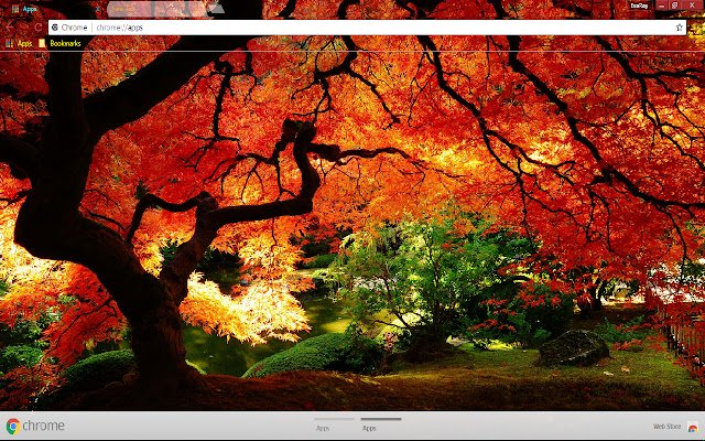 Colors Fall Garden Leaf Nature  from Chrome web store to be run with OffiDocs Chromium online